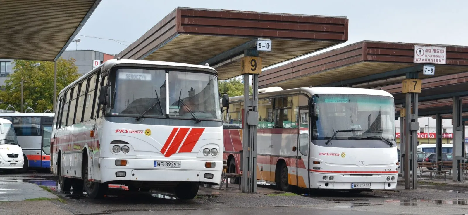 polska policja
