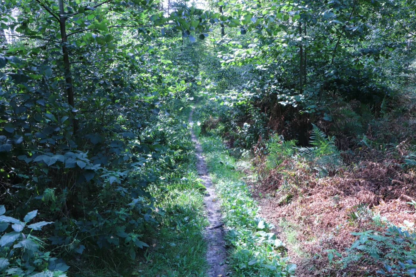 wycieczki rowerowe warszawa 