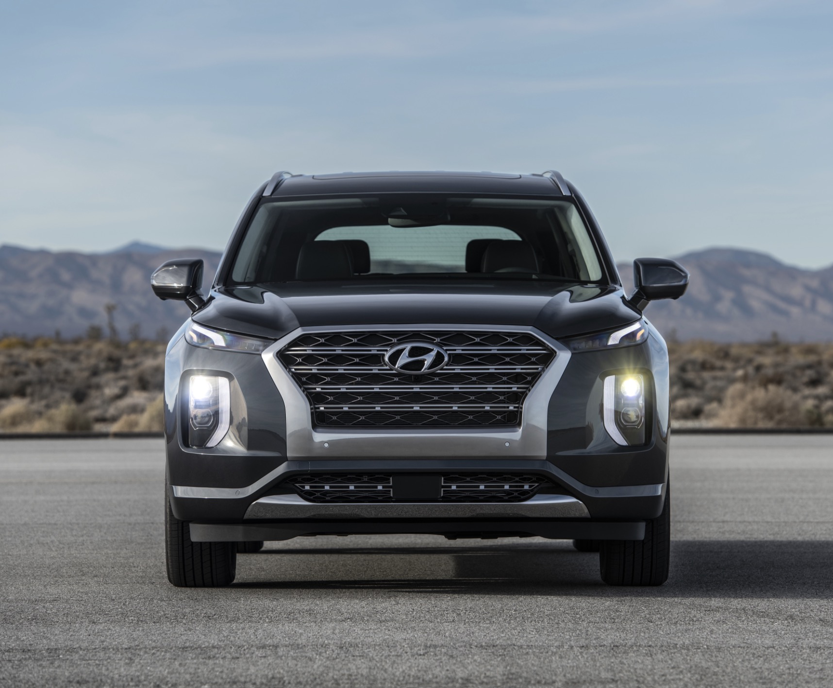 hyundai palisade problem 