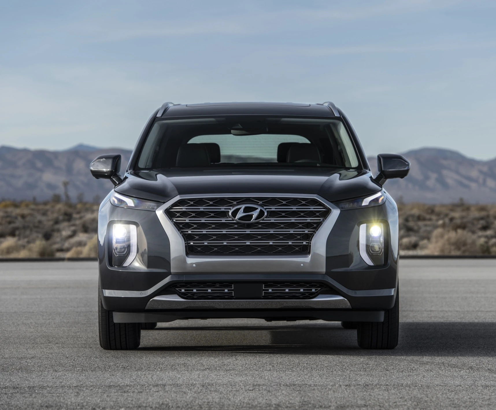 hyundai palisade problem 
