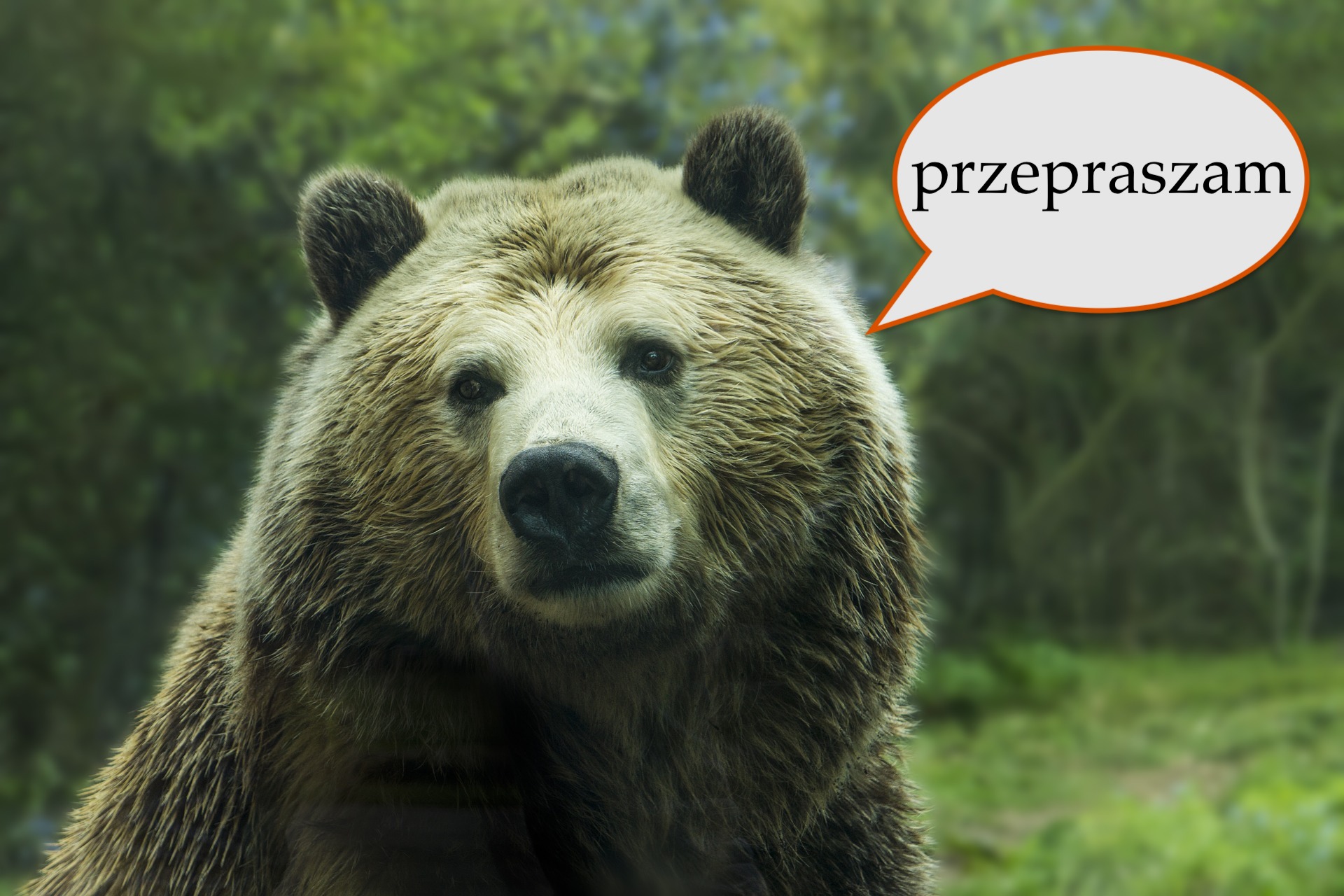 wypadek konstancin-jeziorna