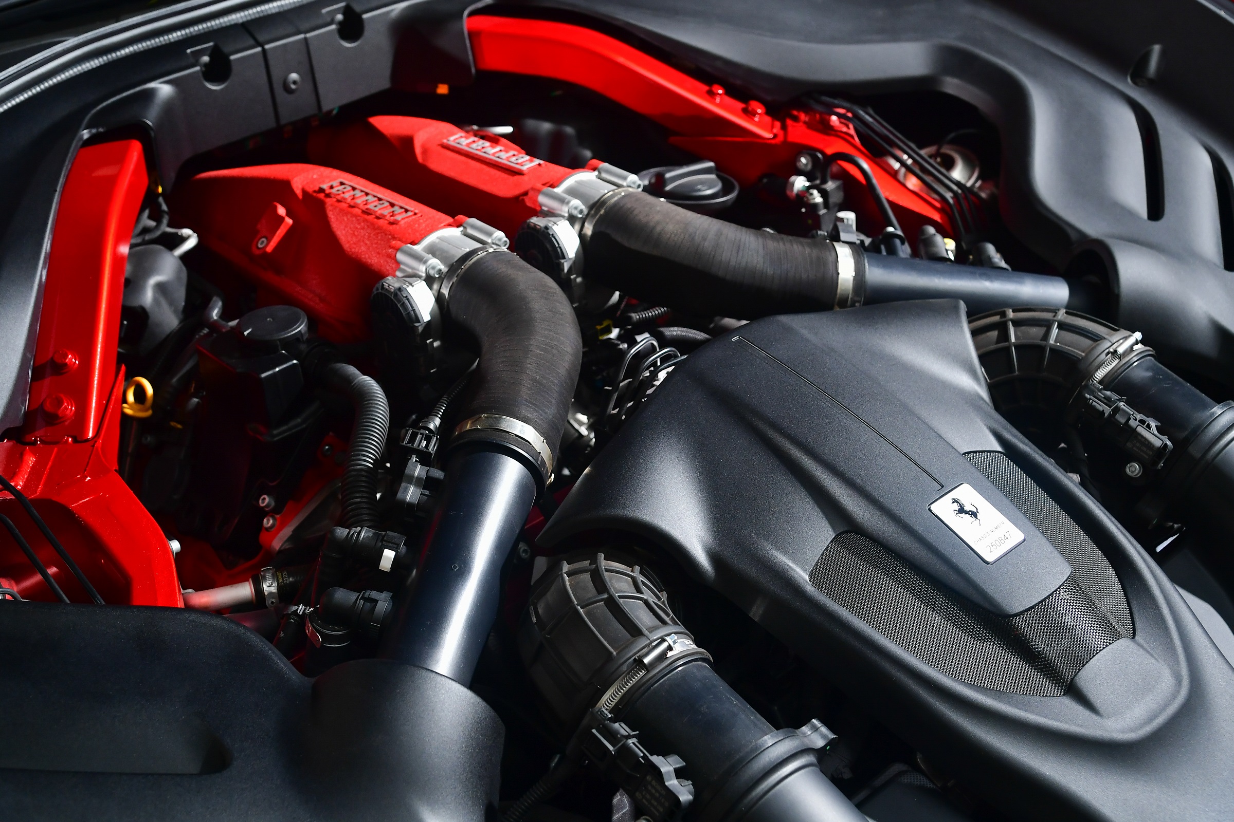 ferrari purosangue suv