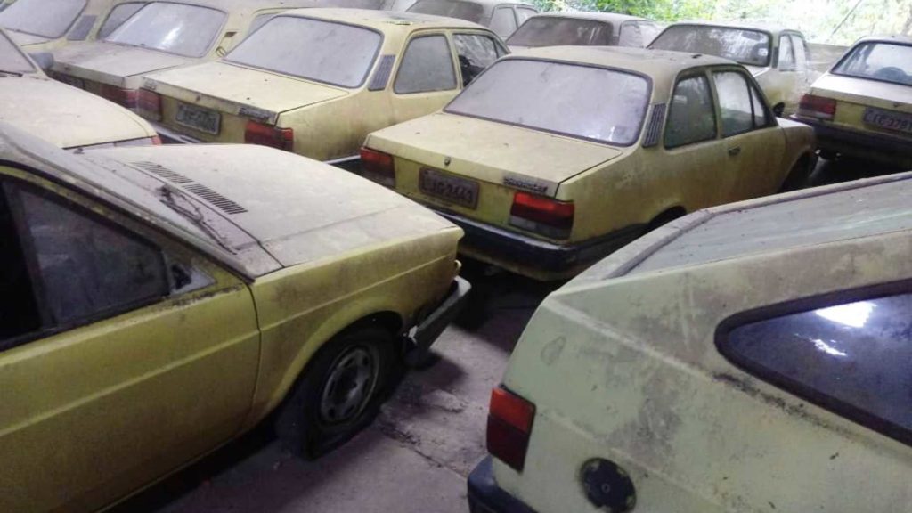 barnfind z brazylii