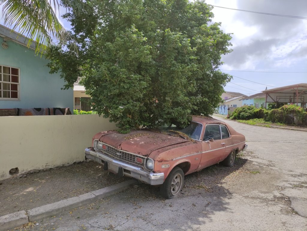 wyspa curacao