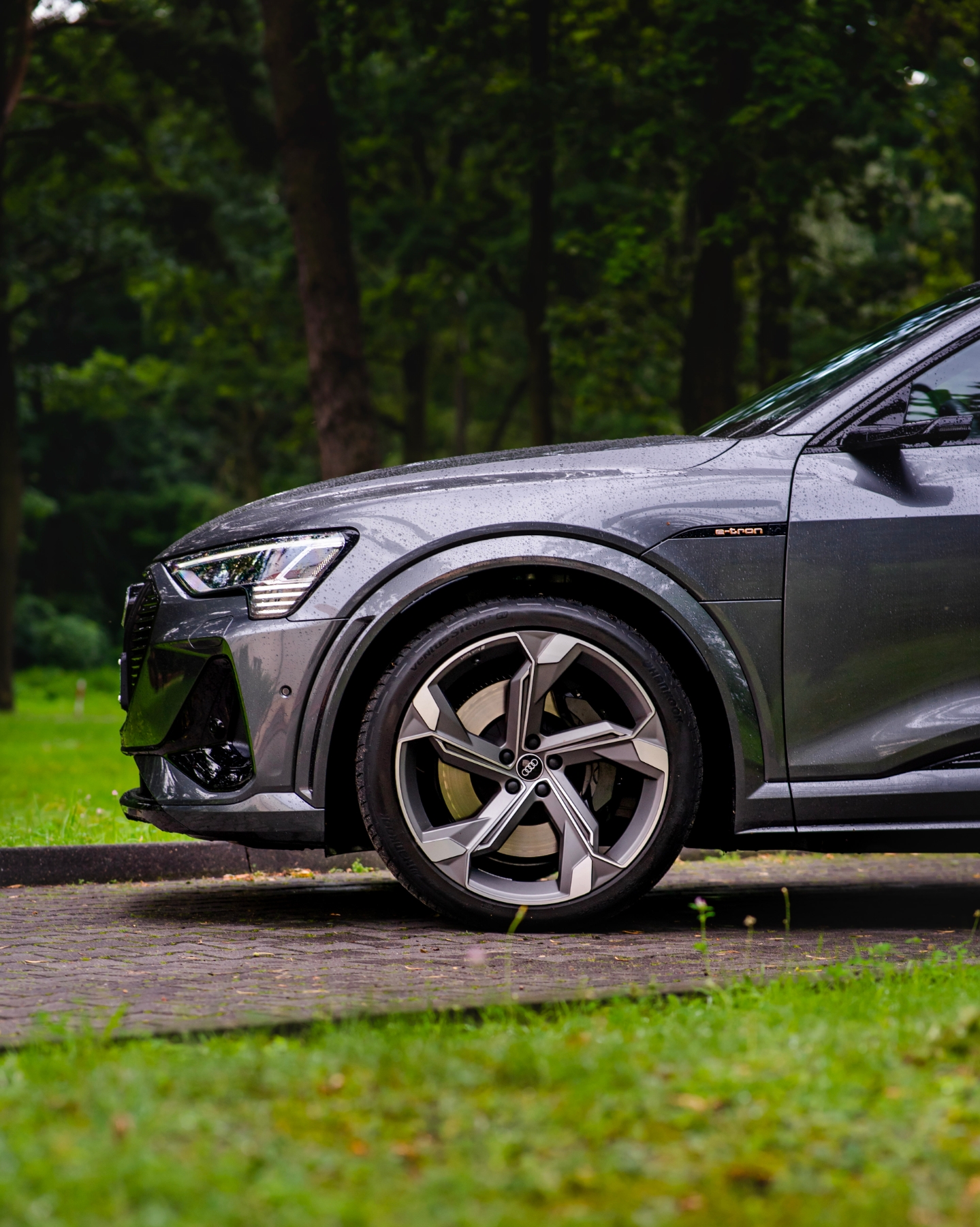 Audi e-tron rdzewieje 