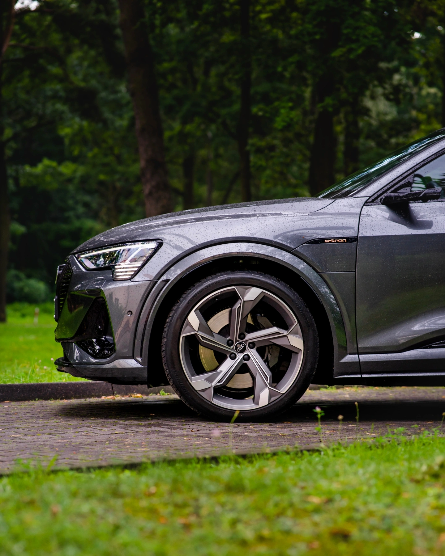 Audi e-tron rdzewieje 