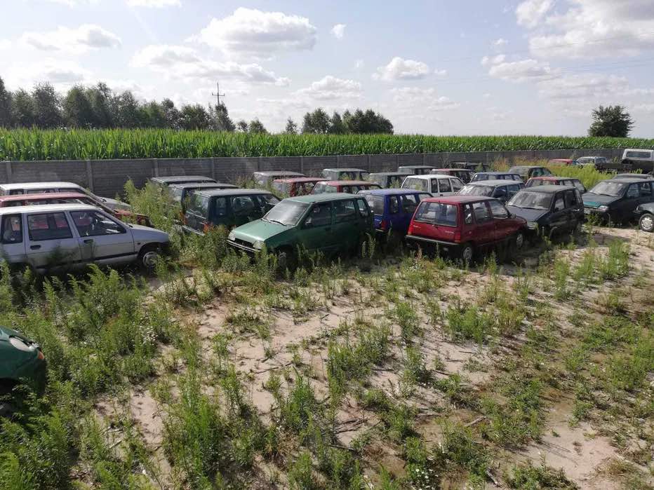 Dokąd jadą z Polski stare Daewoo? Na wschód, tam musi być cywilizacja