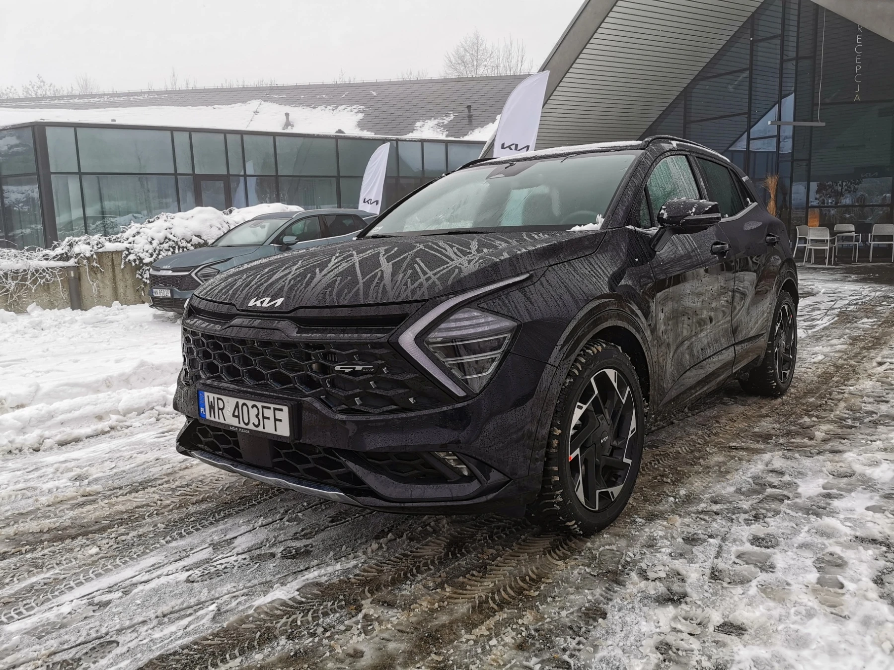 nowa kia sportage najpopularniejsze samochody w Polsce