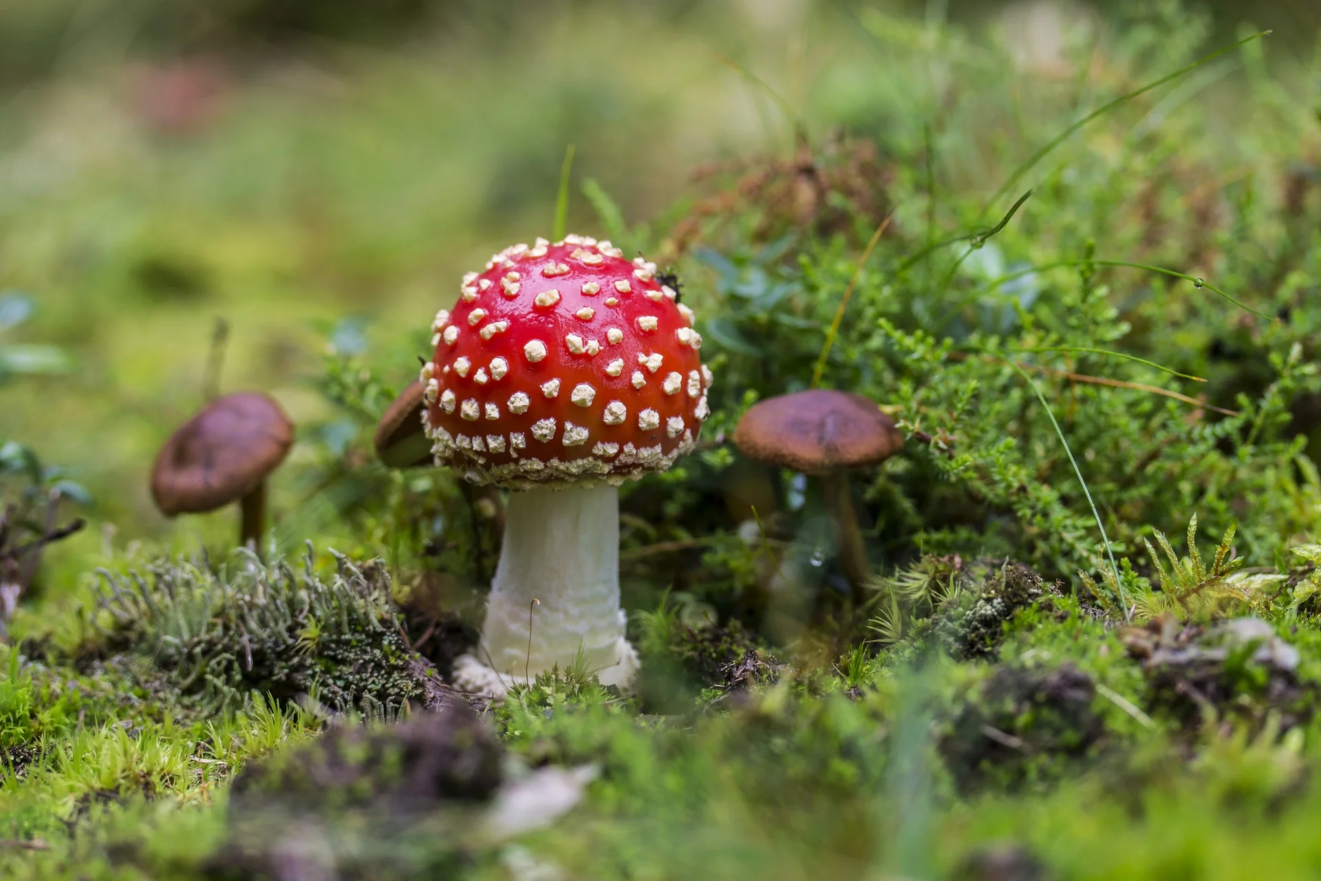 nowe stacje kontroli pojazdów