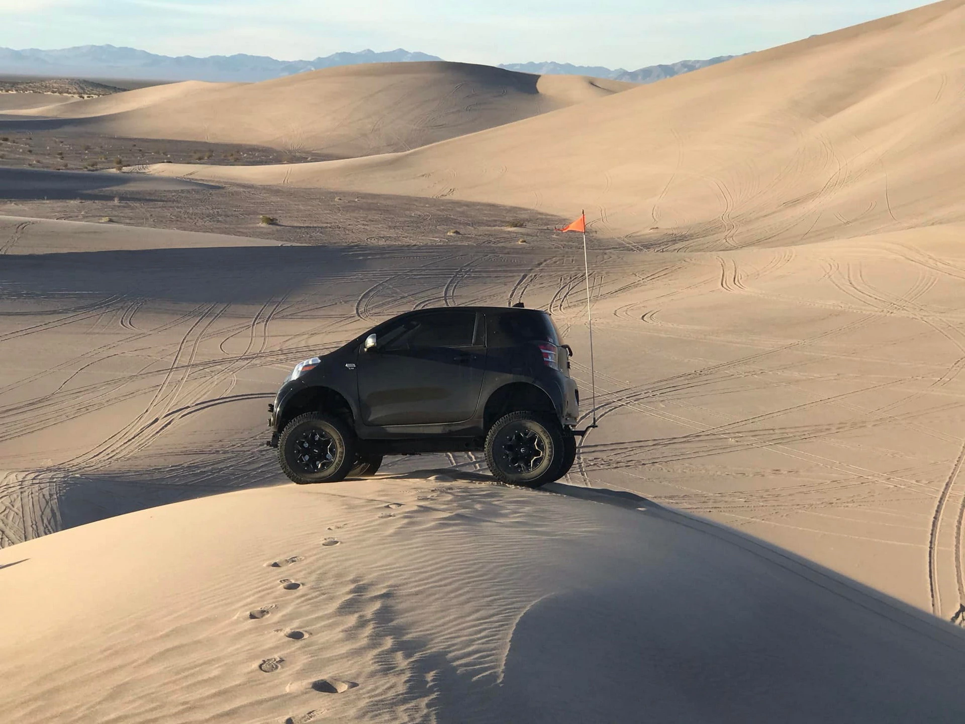 scion iq