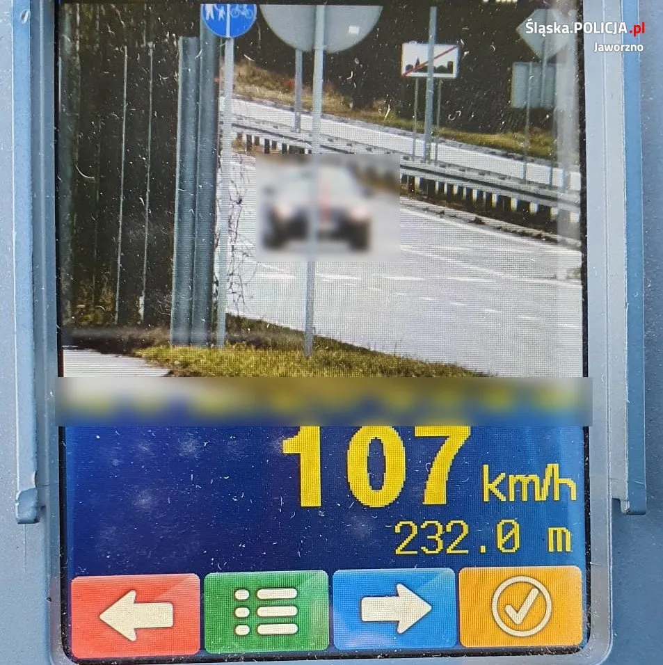 policja