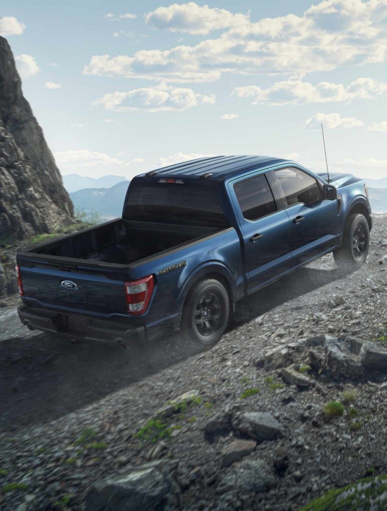 Ford F-150 Rattler