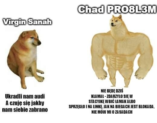 sanah audi kradzież samochodu  