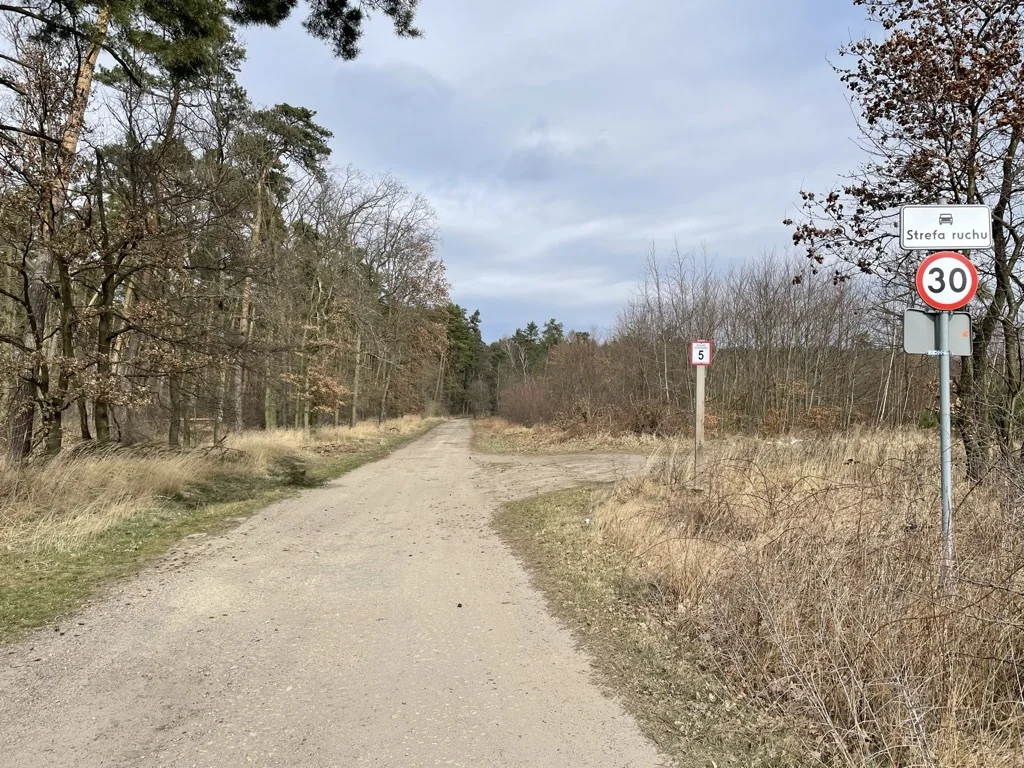 polska znaki drogowe