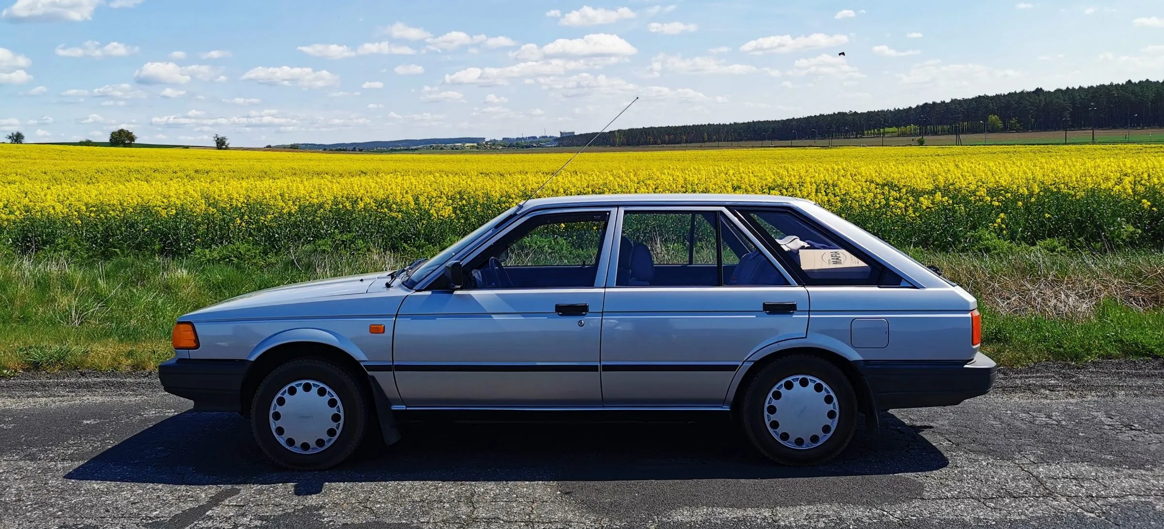 nissan sunny b12