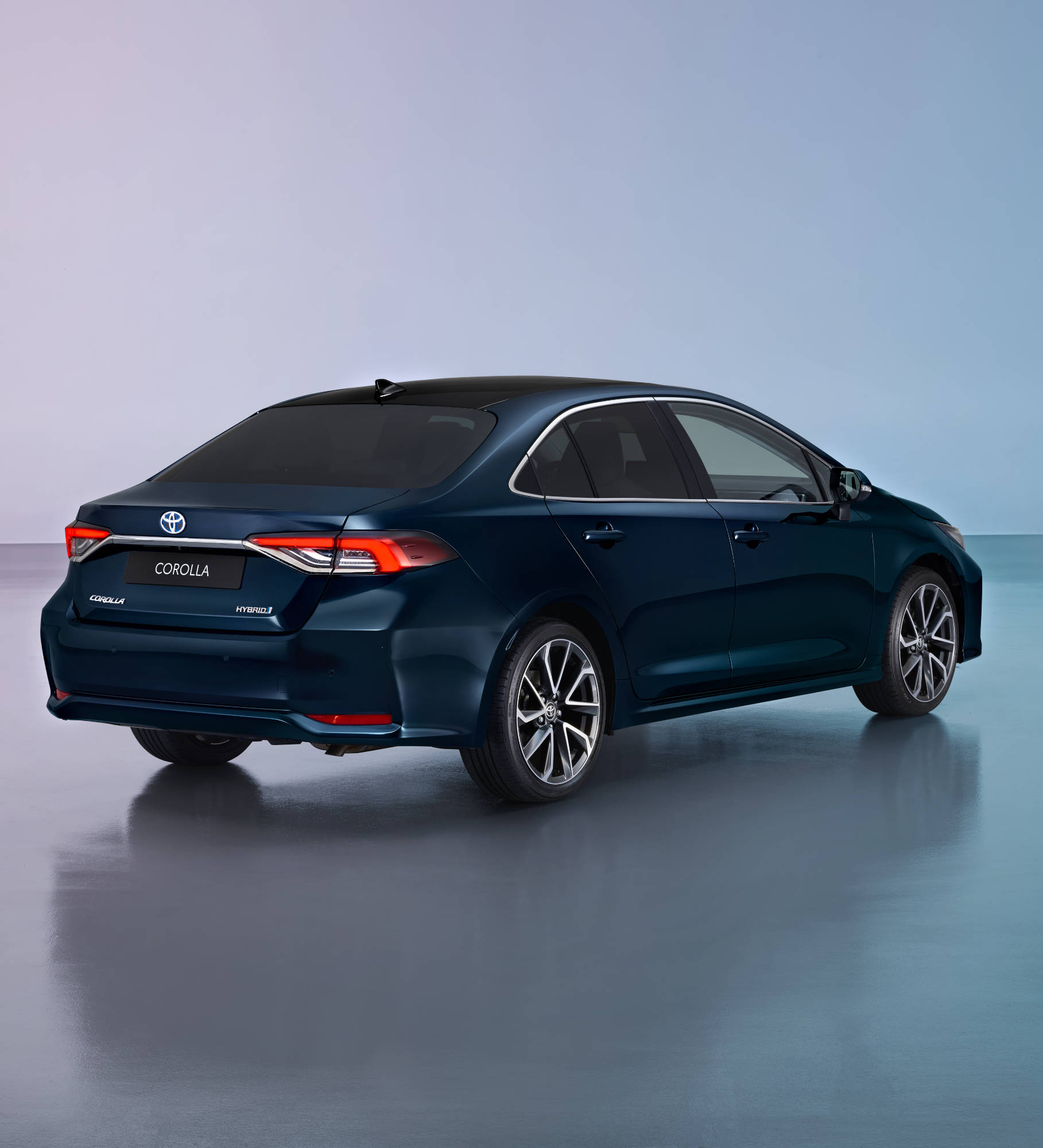 corolla 
