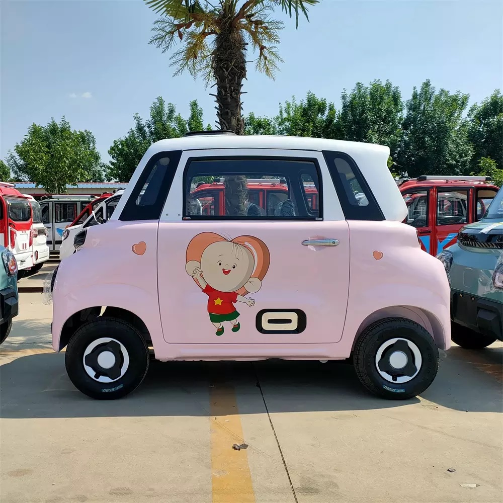 tani citroen ami