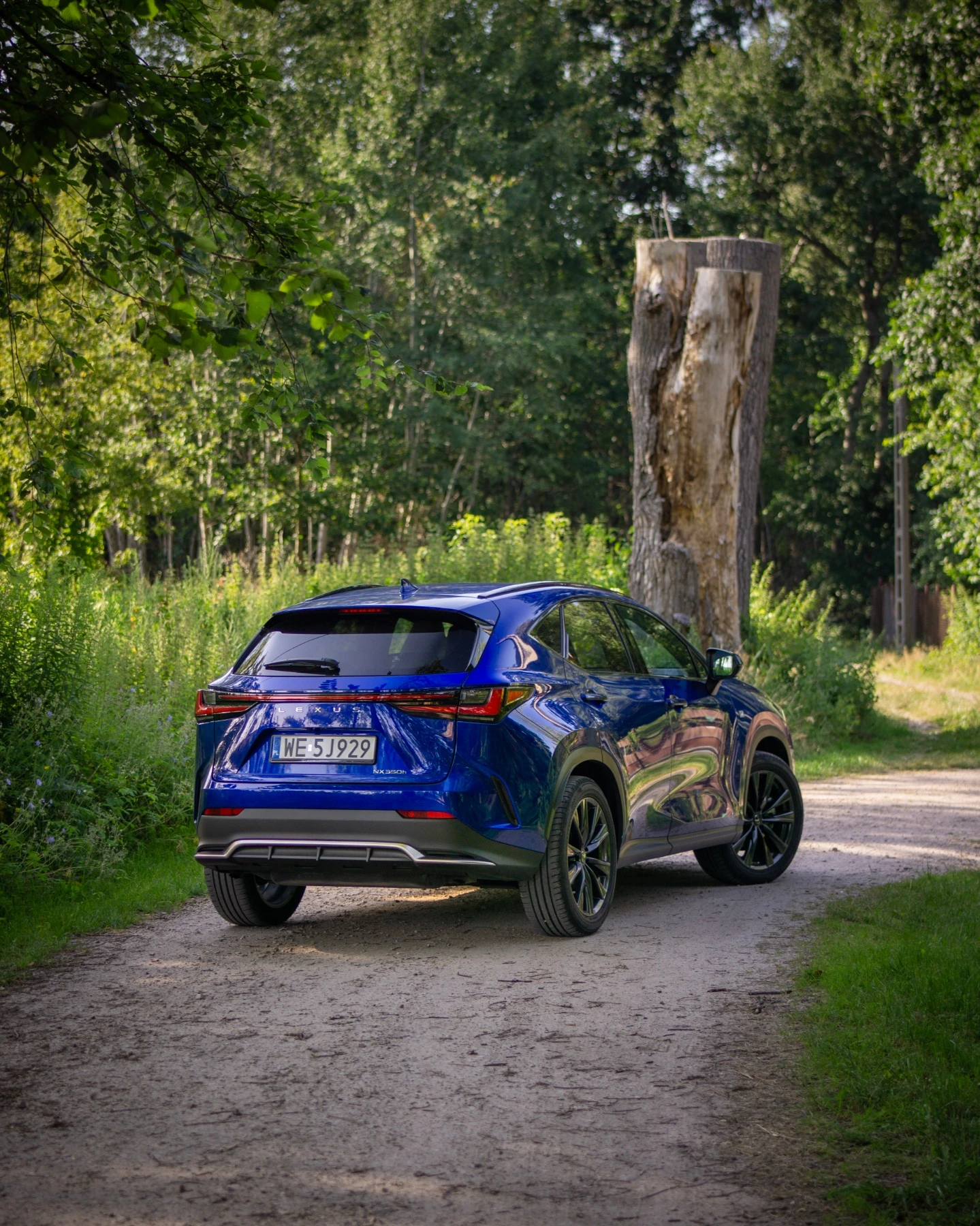 nowy lexus nx