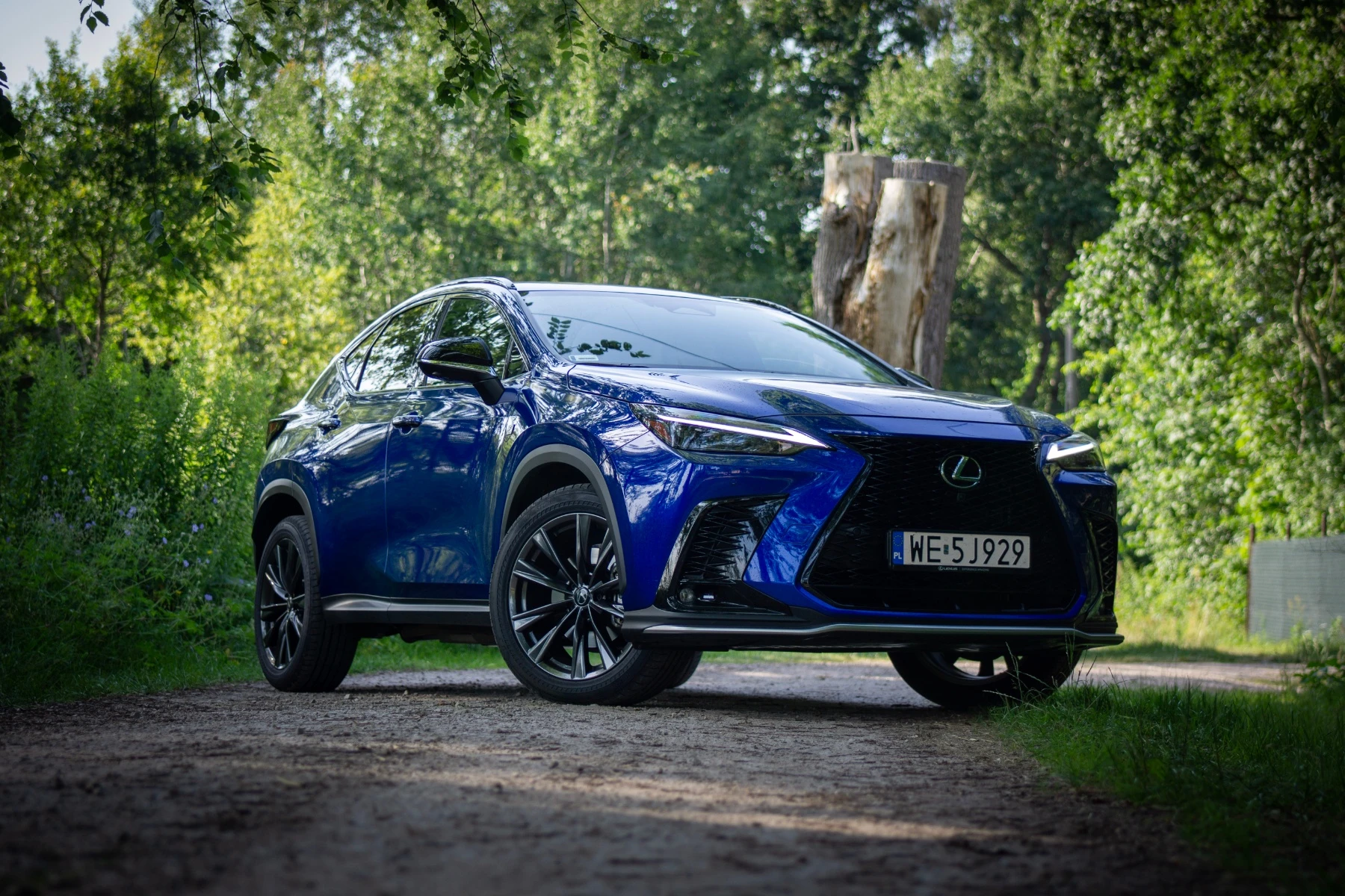 nowy lexus nx