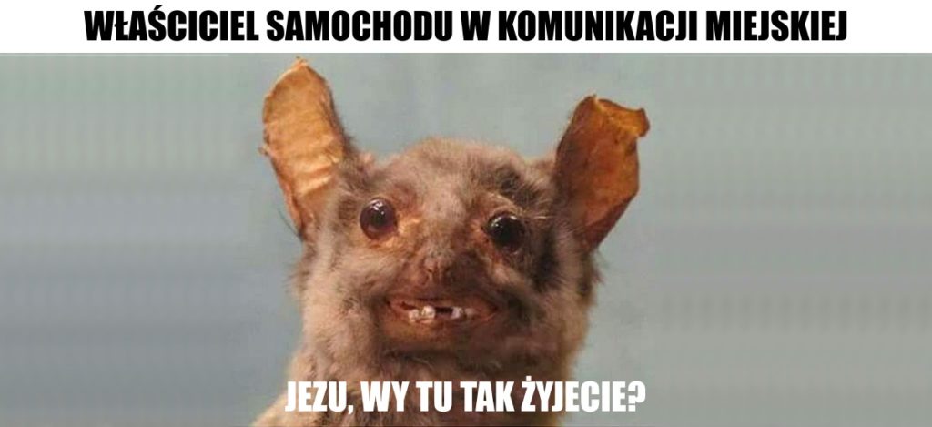 europejski dzień bez samochodu