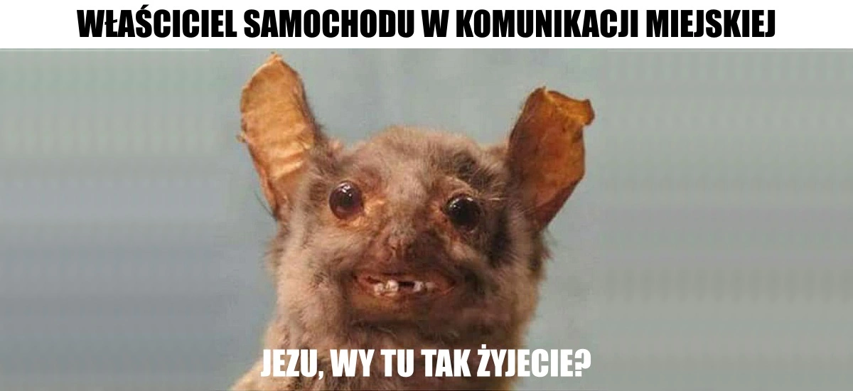 europejski dzień bez samochodu