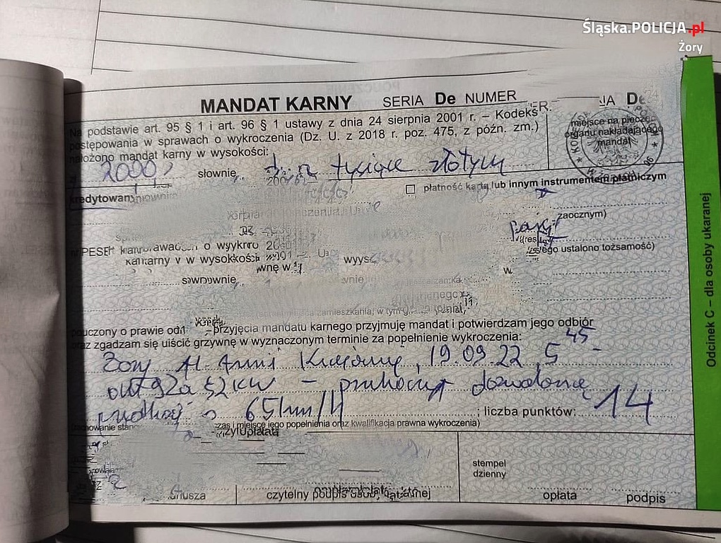wysoki mandat 