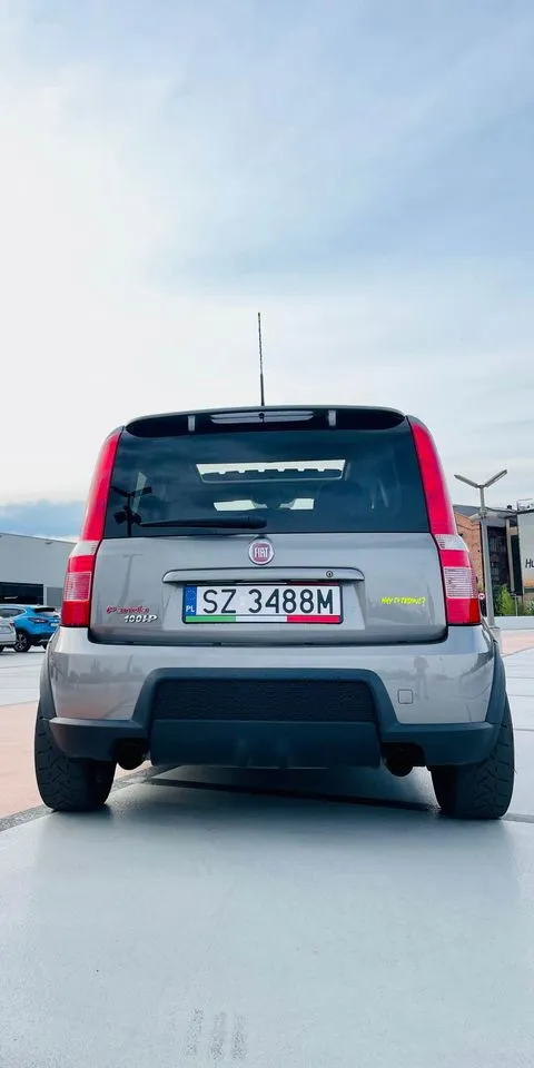 Panda