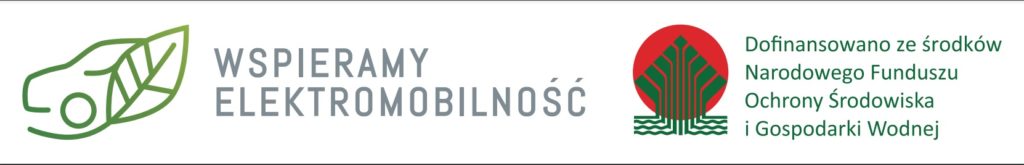 naklejka na samochodzie elektrycznym