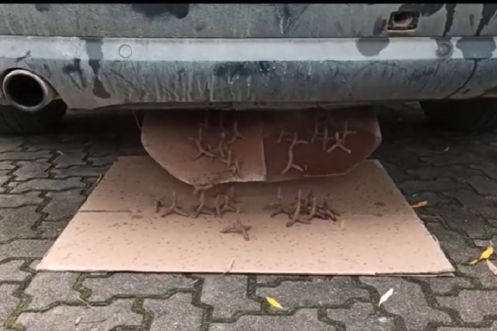 kolce w Audi A8 