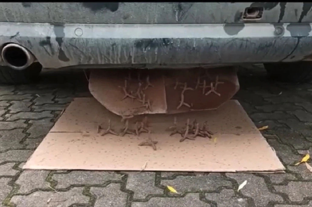 kolce w Audi A8
