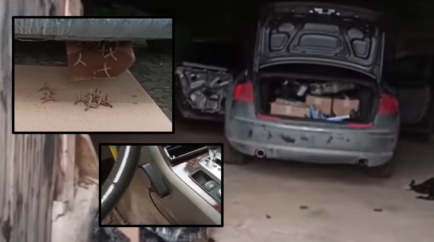 przemytnicze Audi A8