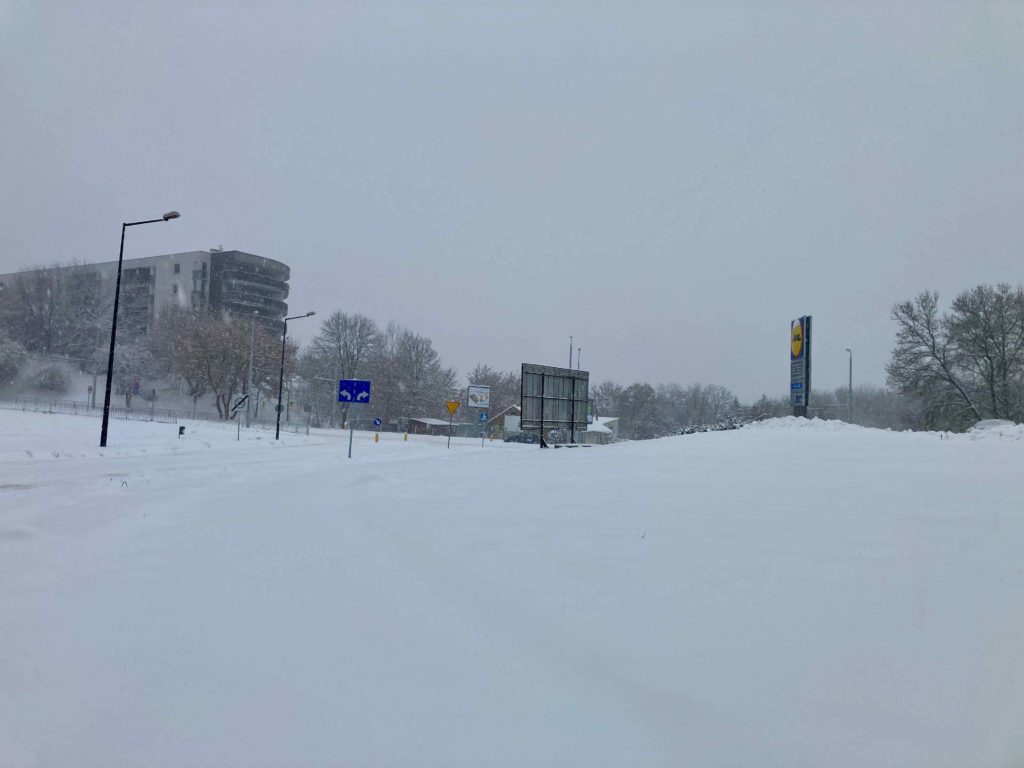 śnieżyca 