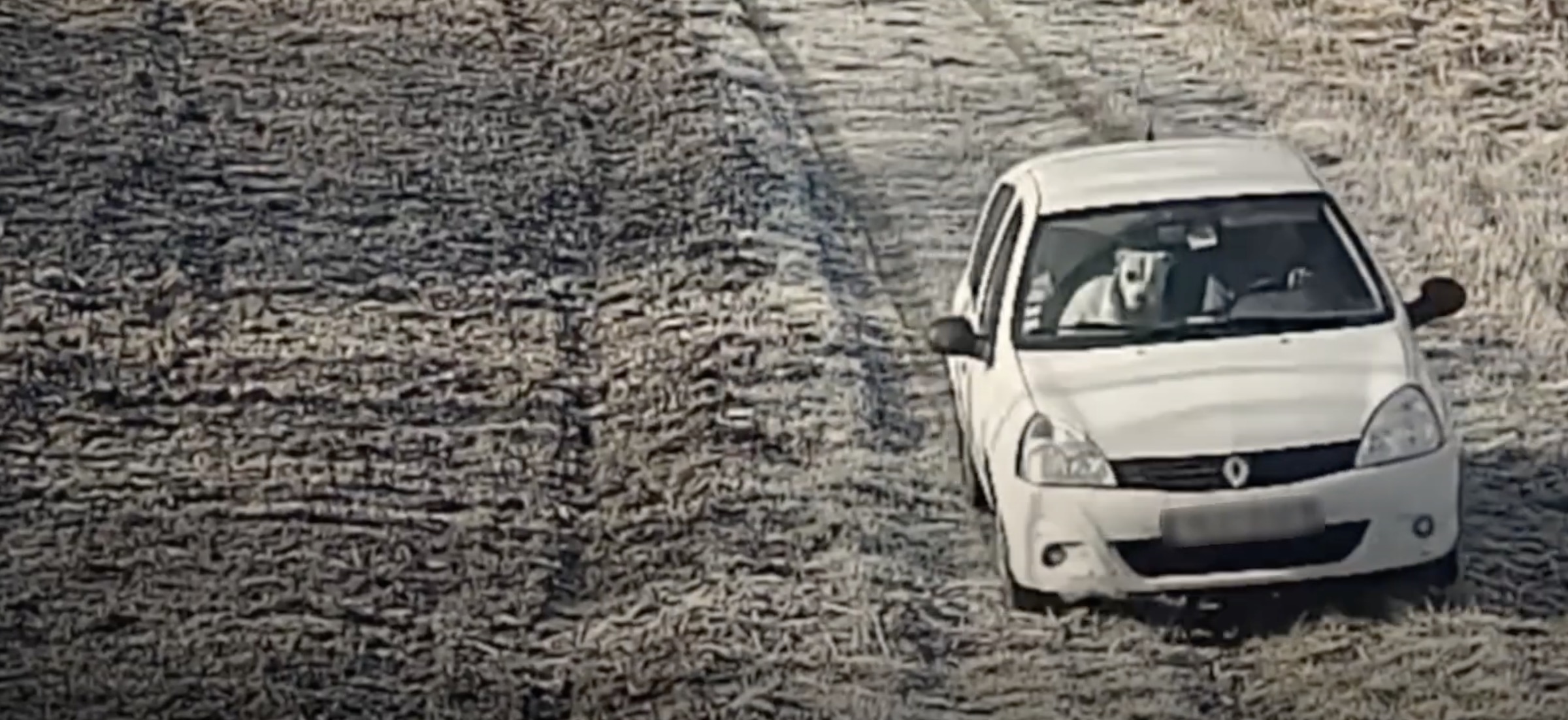 renault clio storia