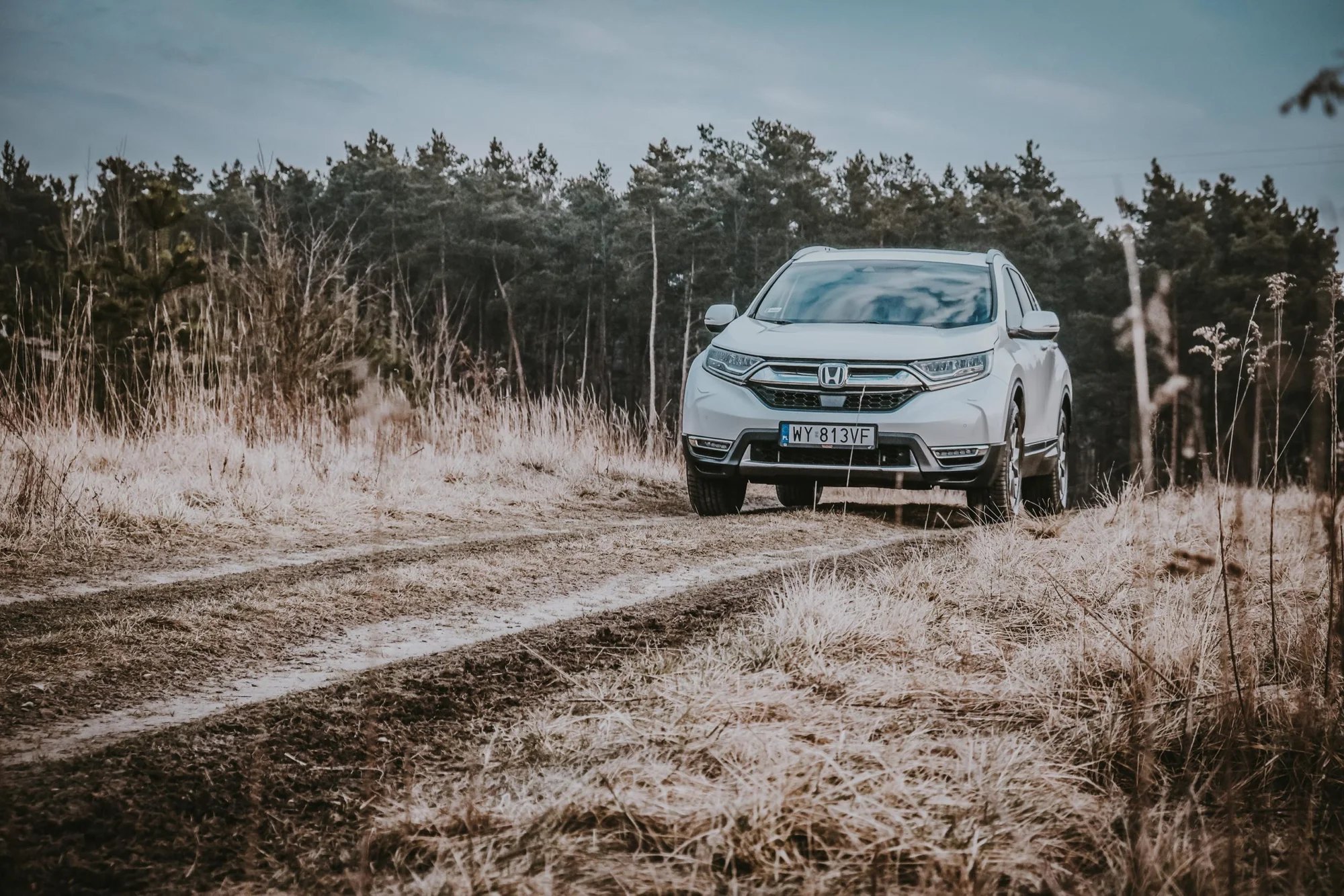 Honda CR-V 