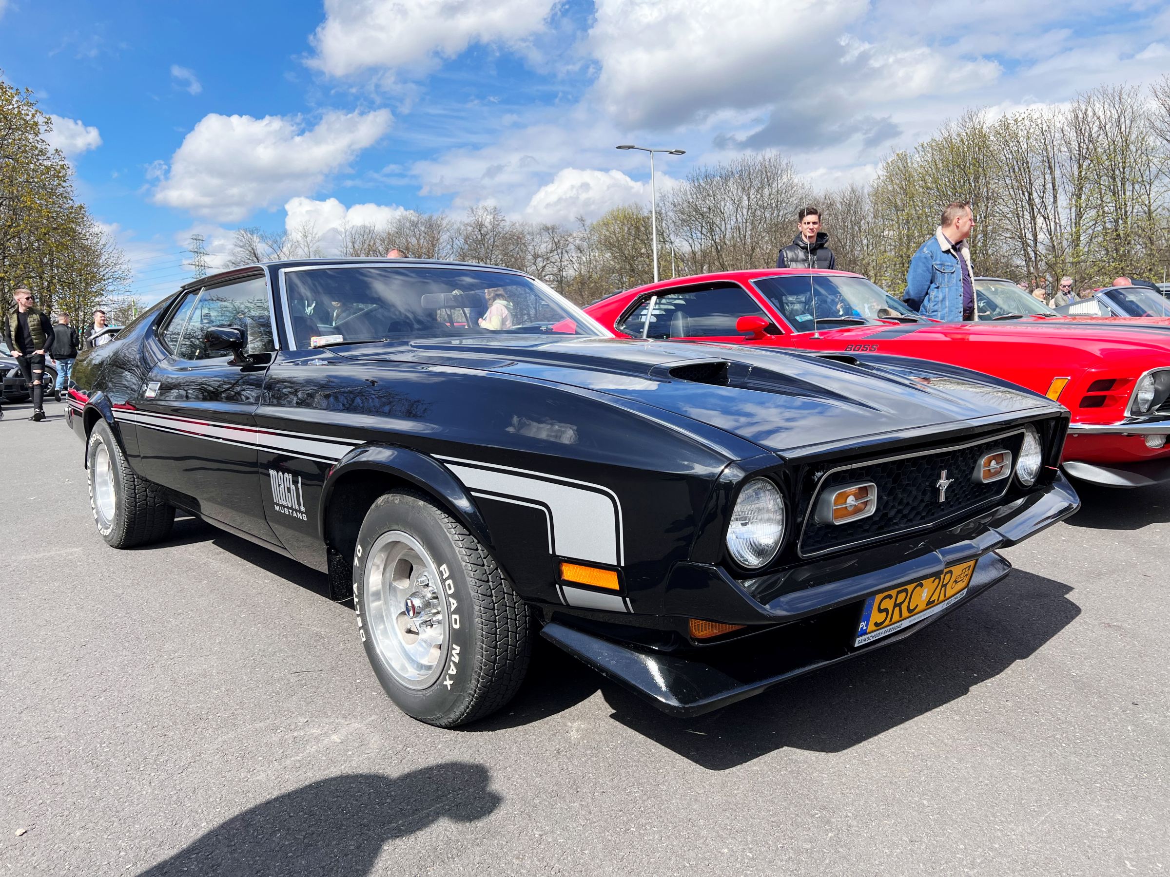 zlot mustangów
