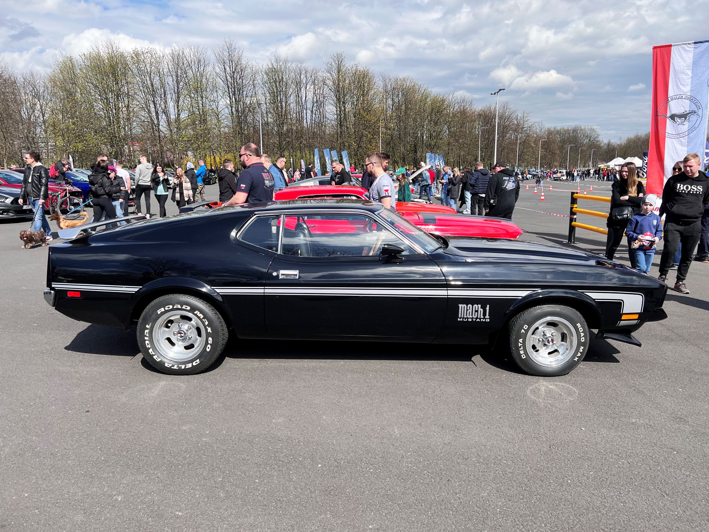 zlot mustangów 