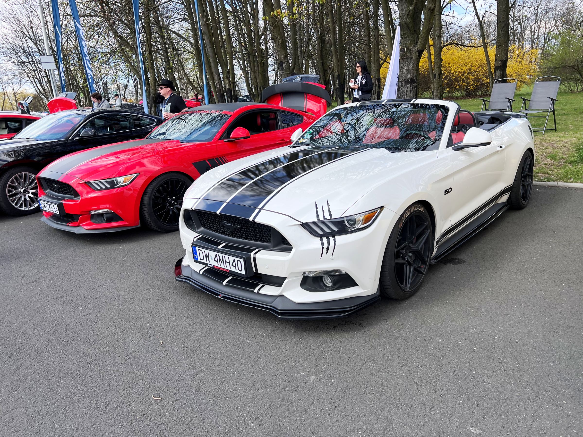 zlot mustangów 