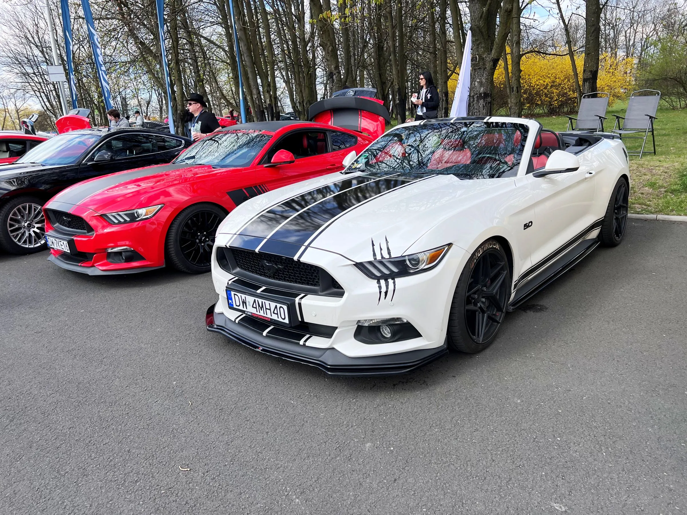 zlot mustangów 
