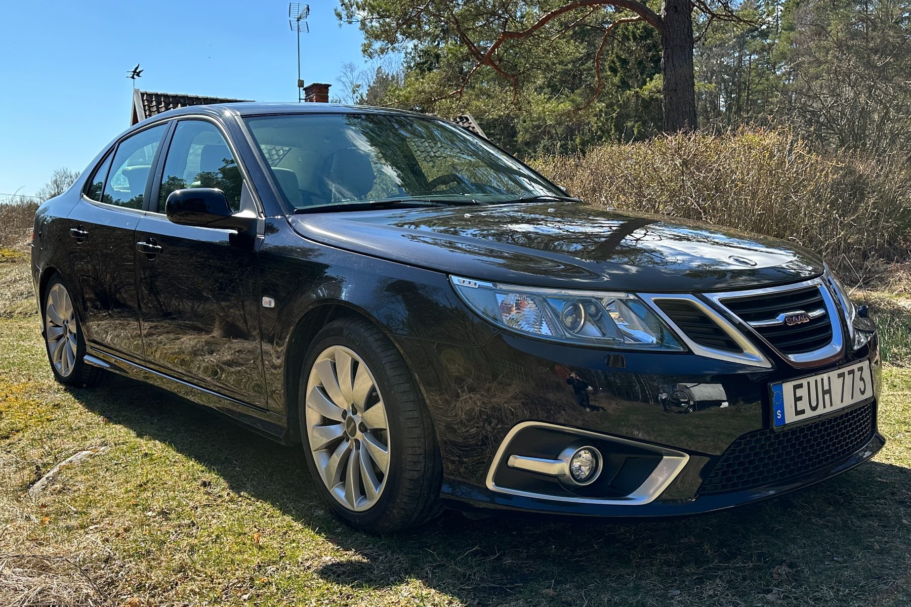 saab 9-3 nevs