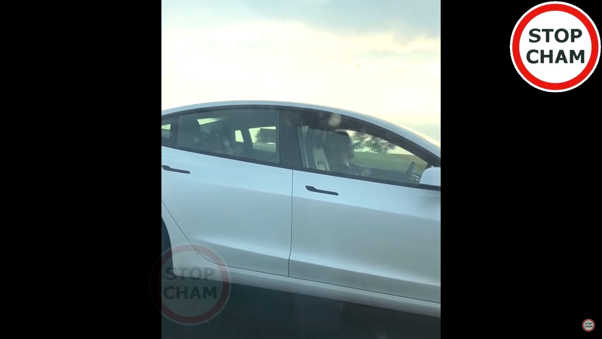 kobieta spala za kierownicą tesli