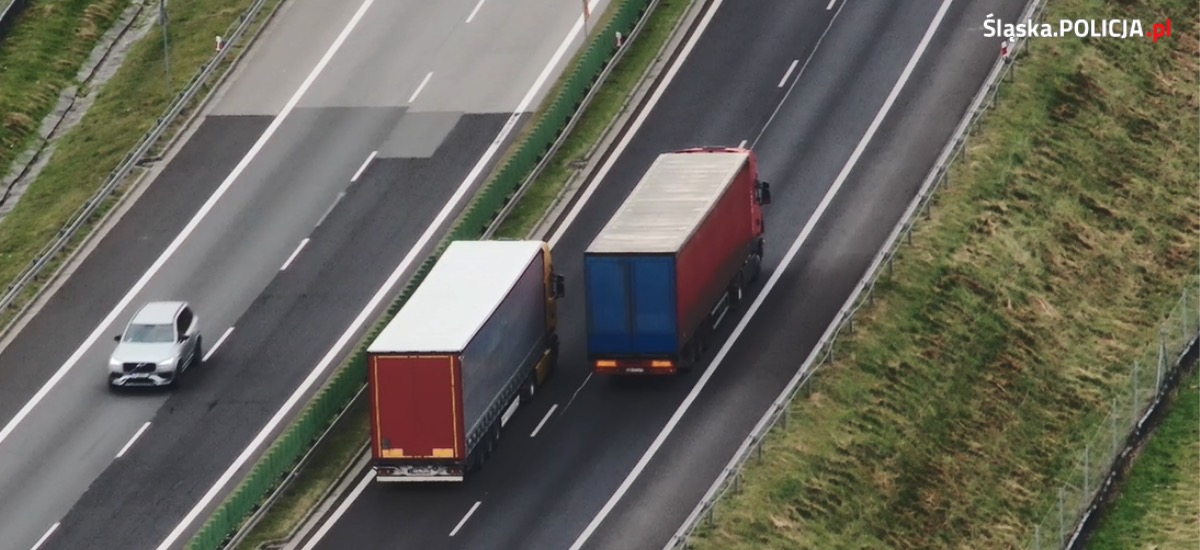Wyścig słoni zakończył w kajdankach. Policja musi mieć niezły ubaw