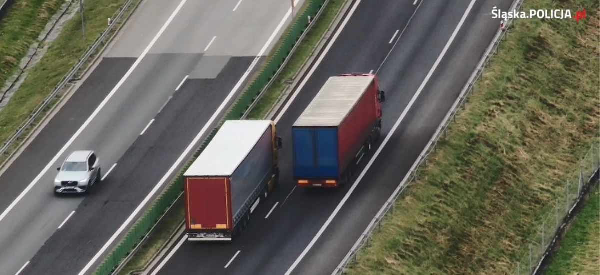 Wyścig słoni zakończył w kajdankach. Policja musi mieć niezły ubaw