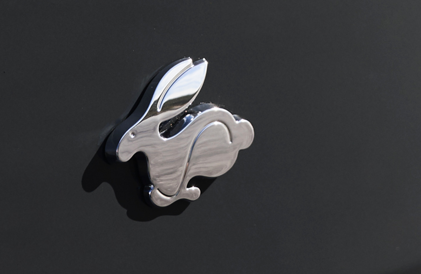 Rabbit
