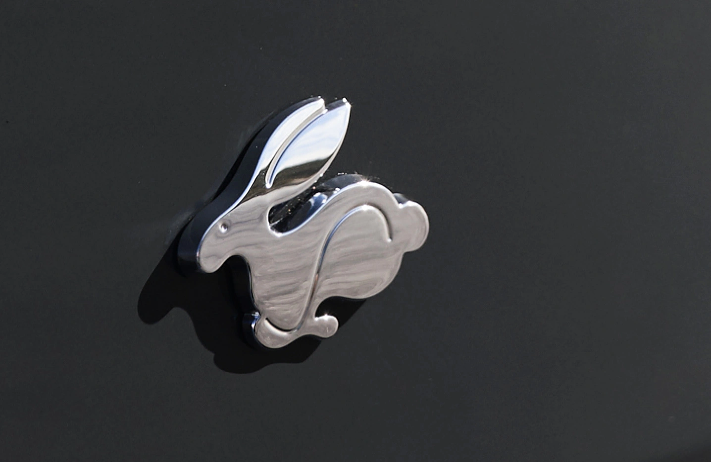 Rabbit