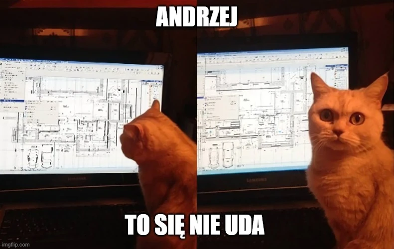 raport nik o izerze