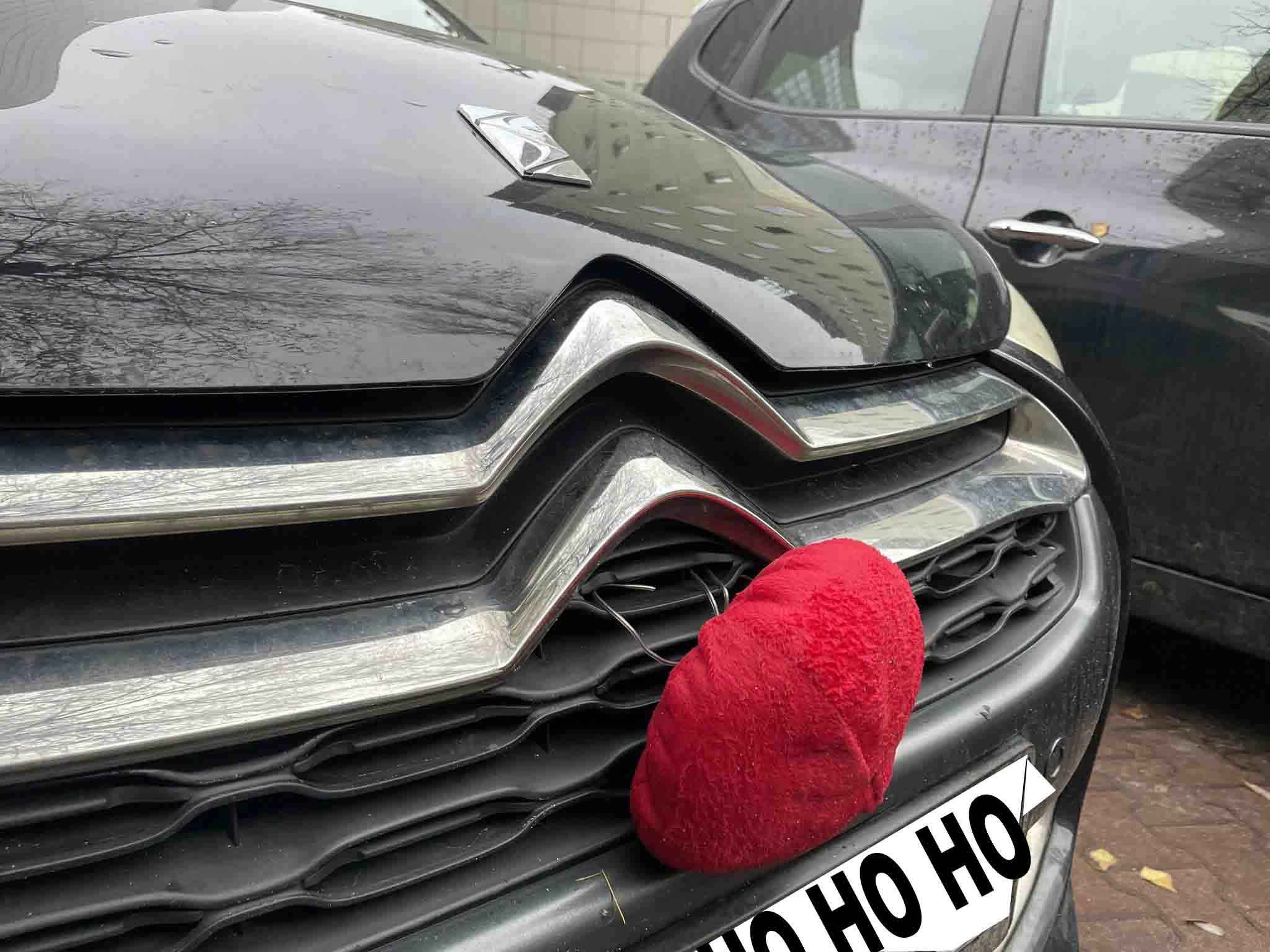 samochód renifer