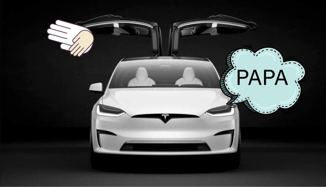 Tesla papa rezygnuje z Tesli