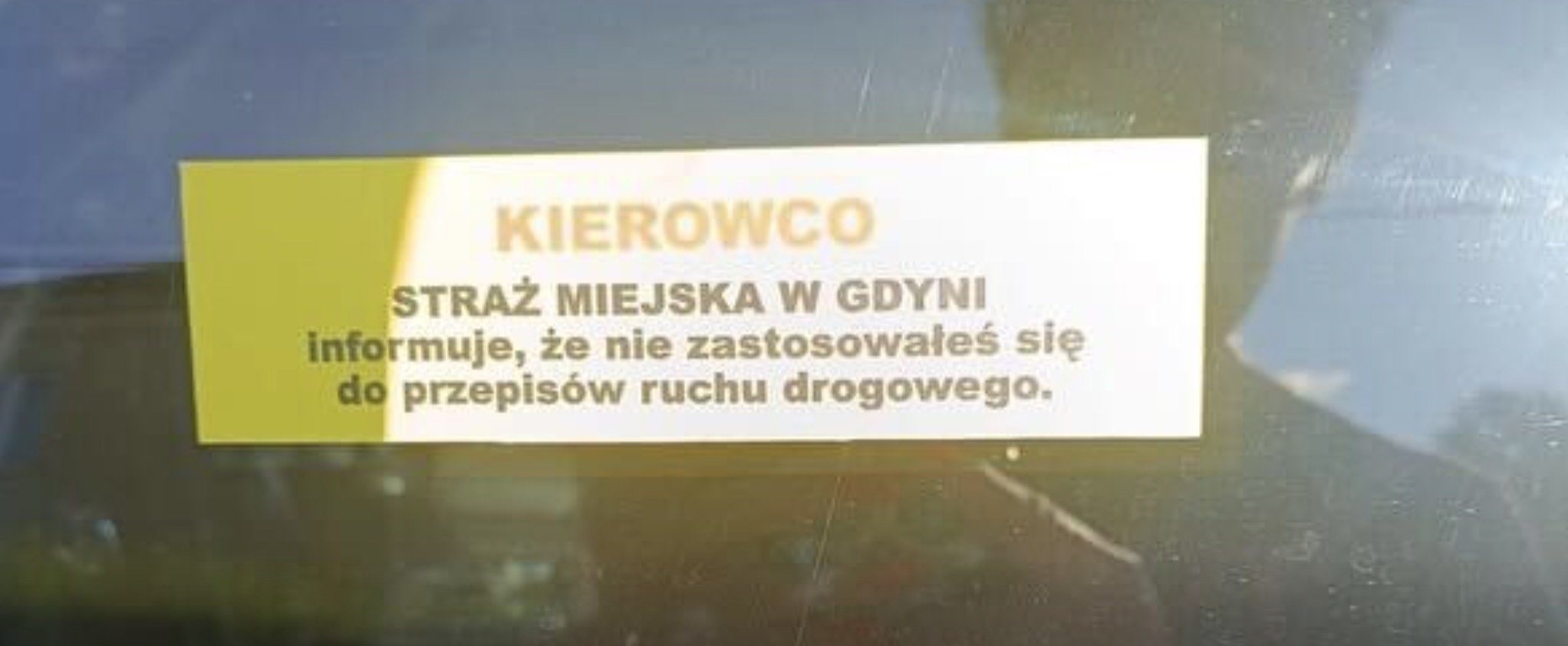 Dostał niespodziewaną karę od straży miejskiej. Nie wiadomo po czym się drapać