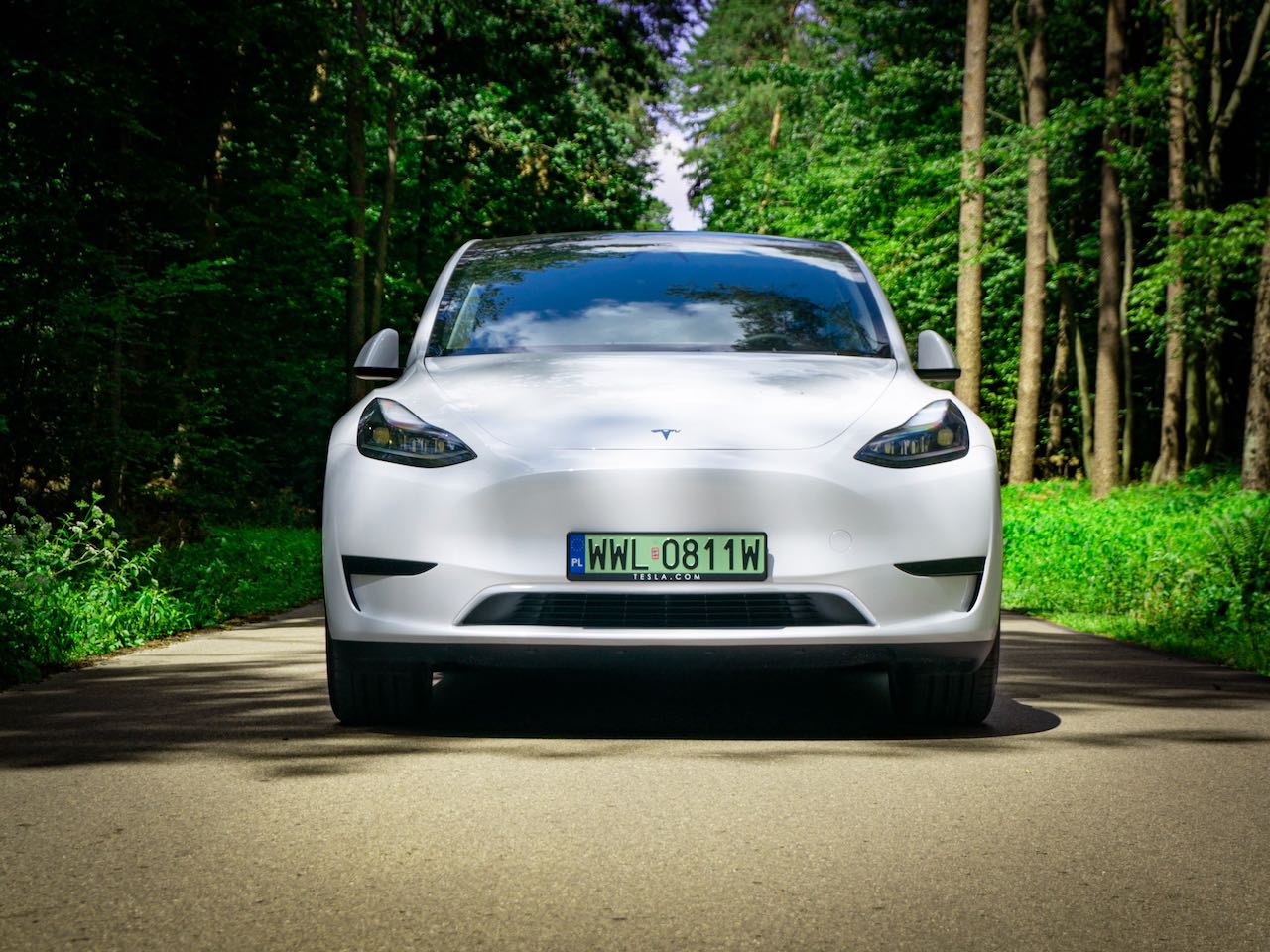 Tesla Model Y RWD LR 