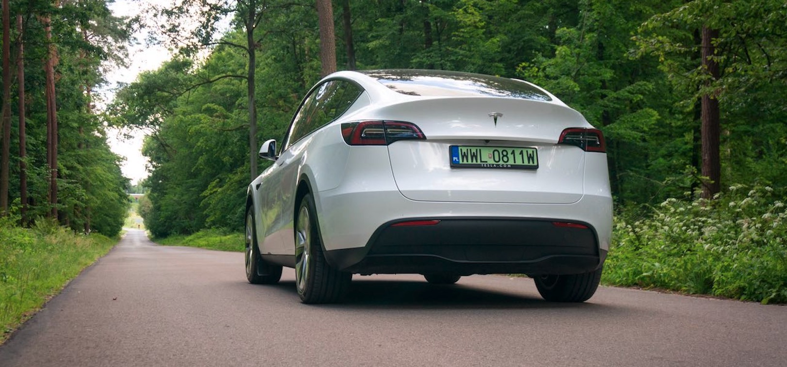 Niech inni producenci aut zaczną rozdawać po 4 tys. zł jak Tesla. Wtedy uwierzę, że coś się dzieje